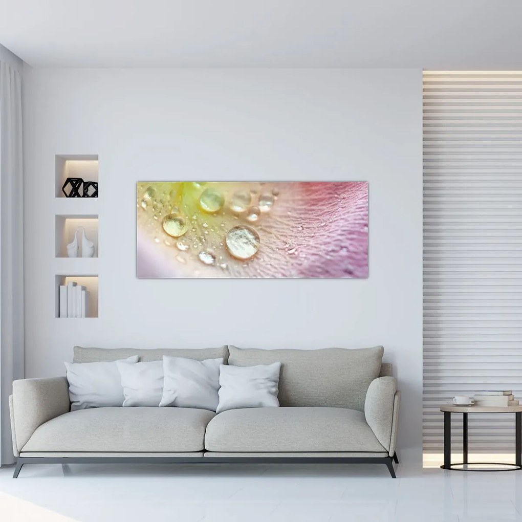 Kép - Harmatcseppek (120x50 cm)
