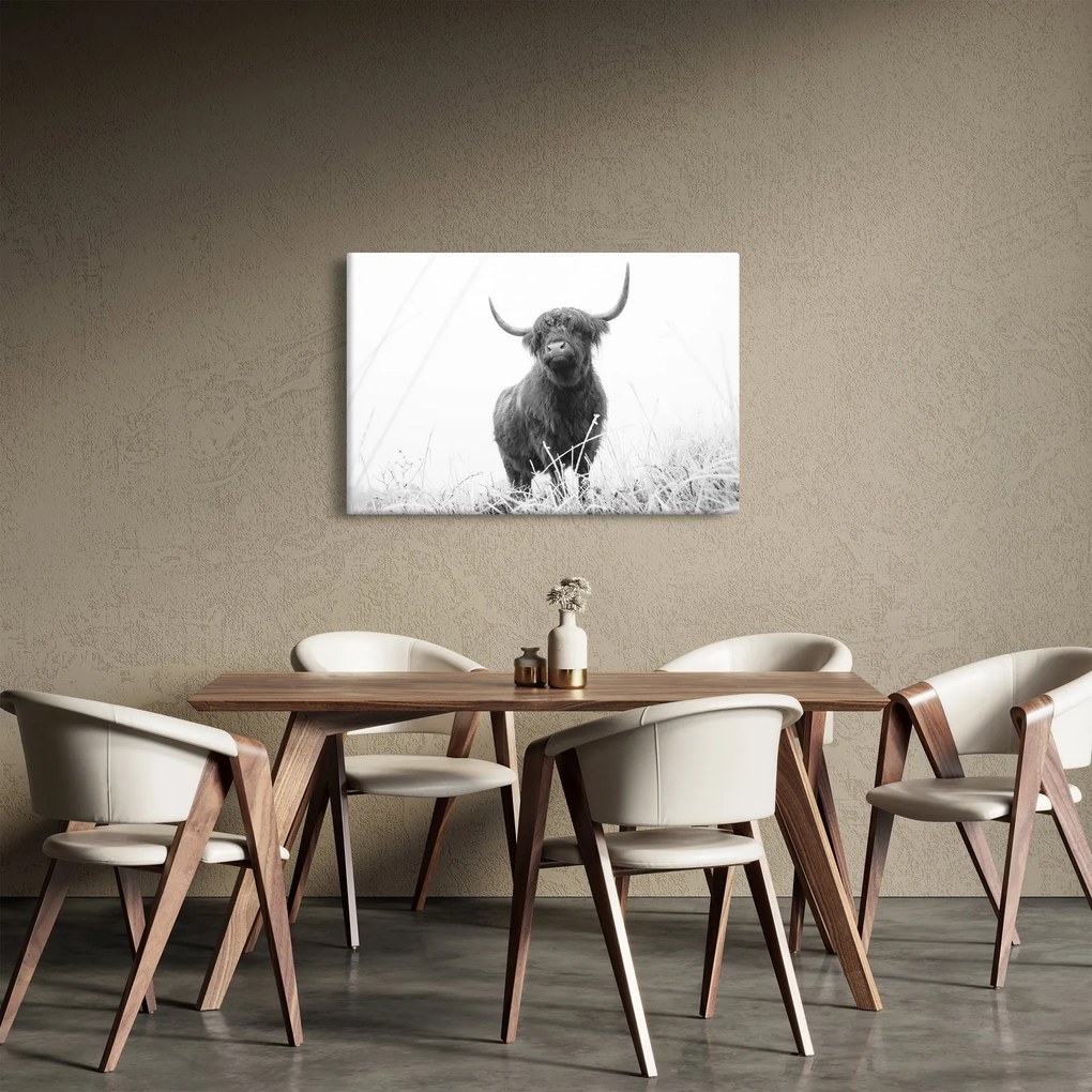 Kép - Skót tehén 4, fekete-fehér (90x60 cm)