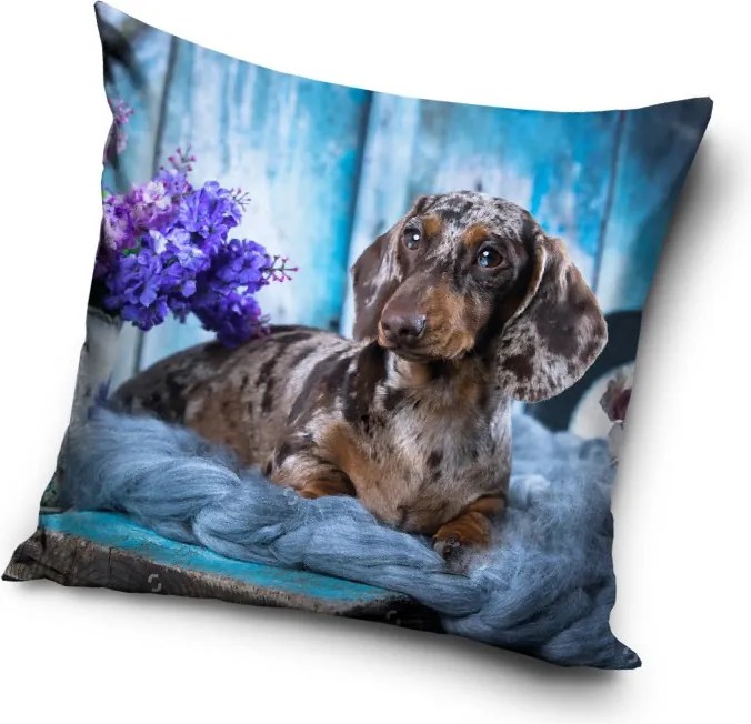Kutyás Dachshund párnahuzat 40x40 cm