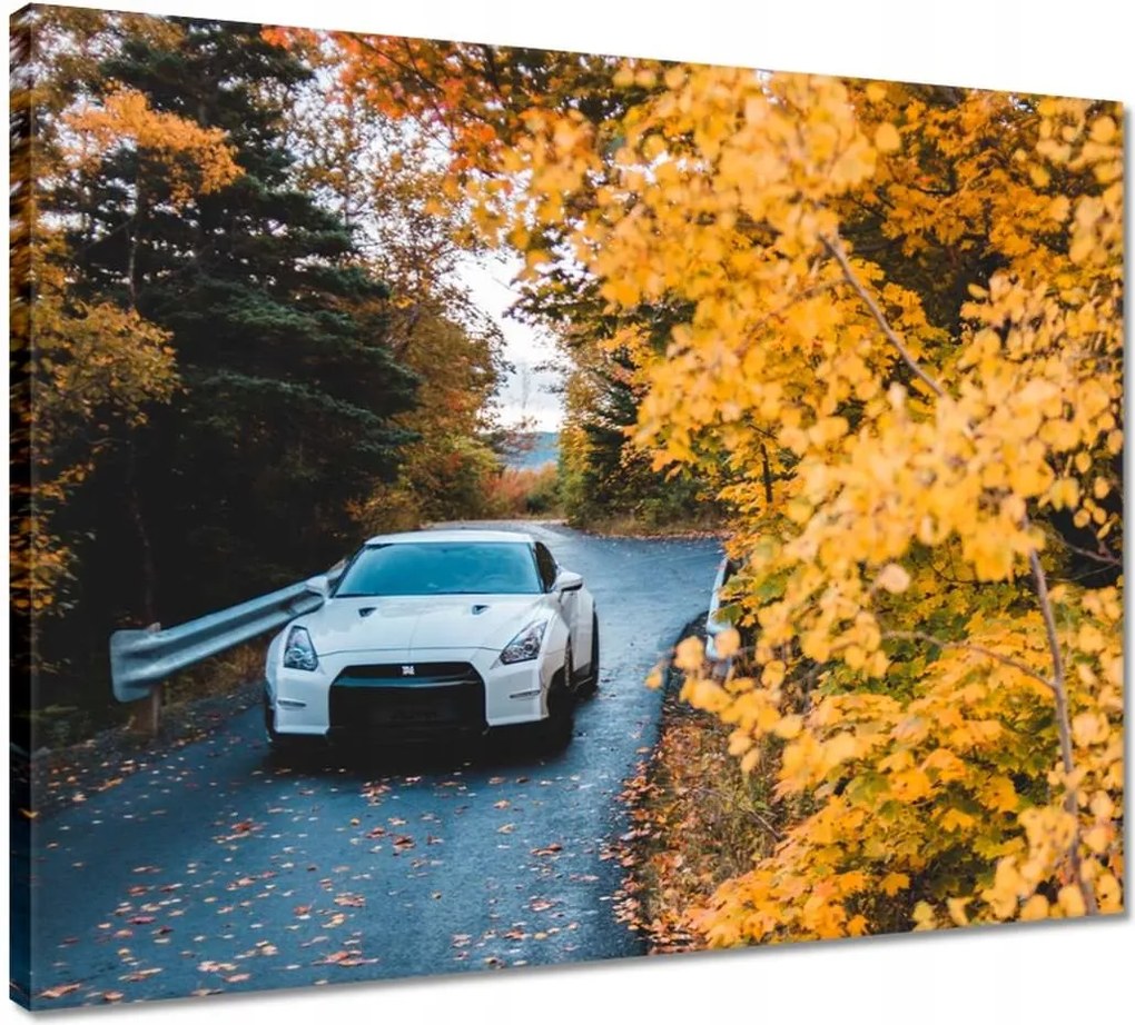 Vászonkép 50x40 Autó-Motor