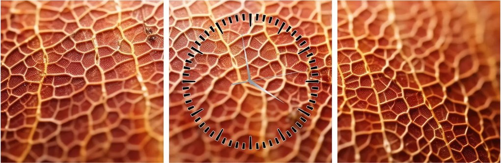 Kép - Textúra részlet (órával) (90x30 cm)