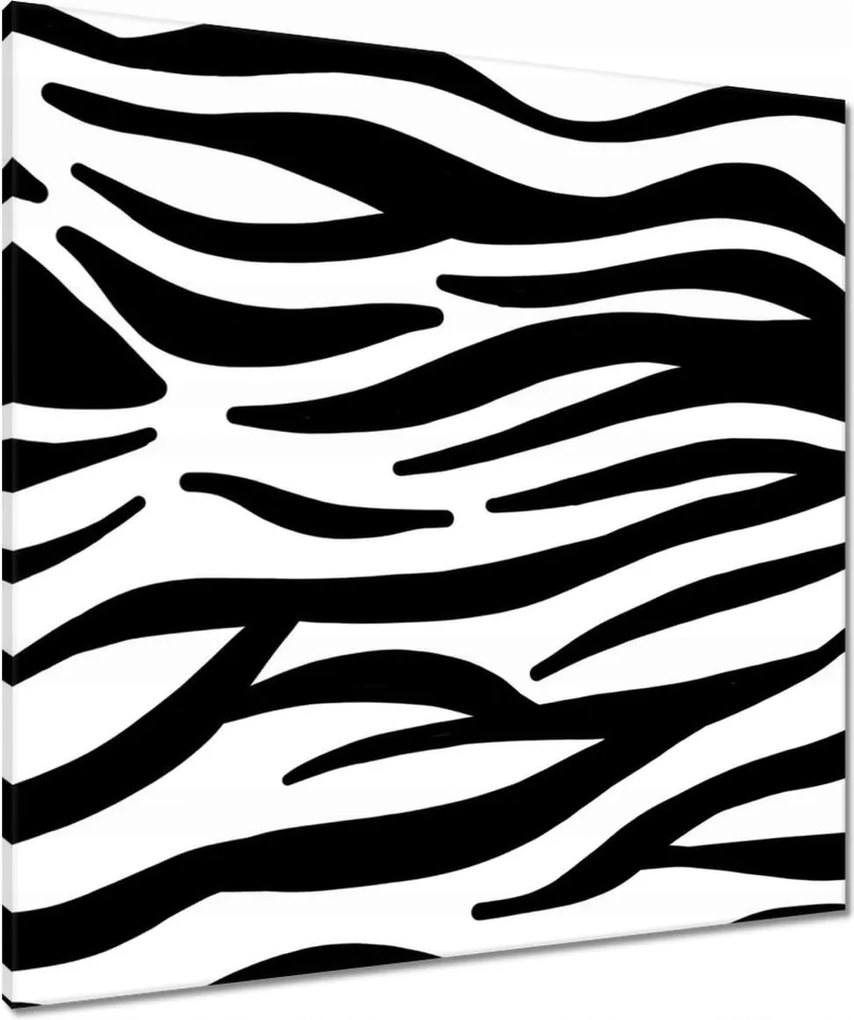 Vászonkép 80x80 Zebra csíkok