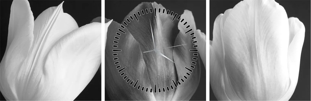 Kép - fekete-fehér tulipán virág (órával) (90x30 cm)
