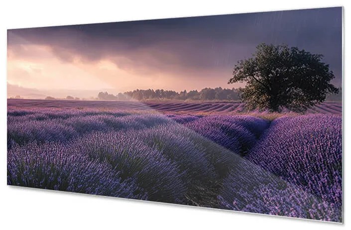 Wallplex konyhahátfal Illatos Levendula (Méret: 60x180)
