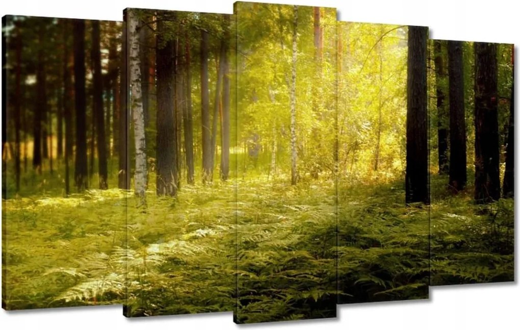 Vászonkép 100x60 Napfelkelte az erdőben