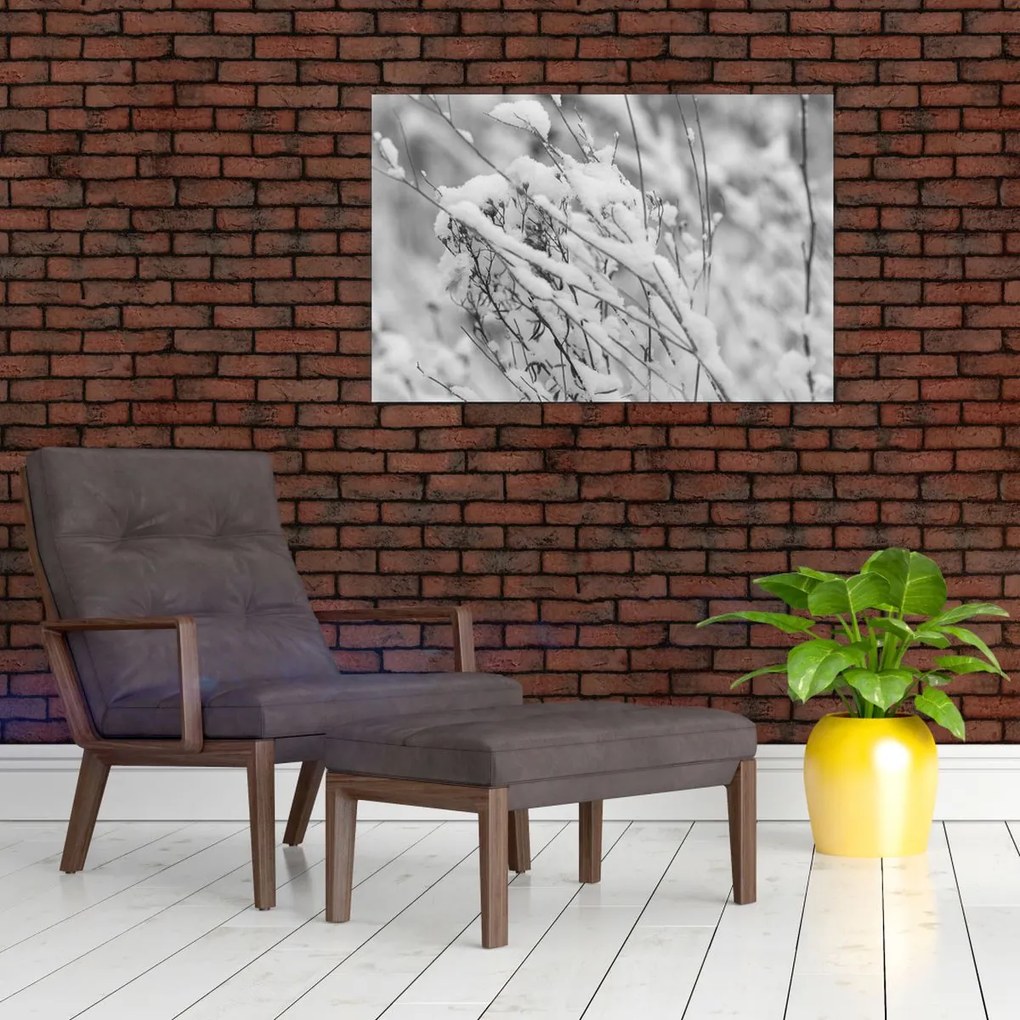 Kép - Havas ágak (90x60 cm)