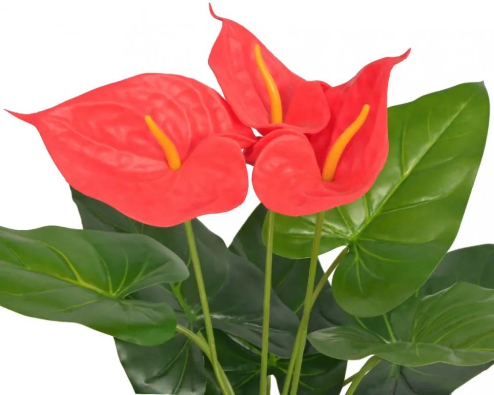 műflamingóvirág virágcseréppel 45 cm piros és sárga