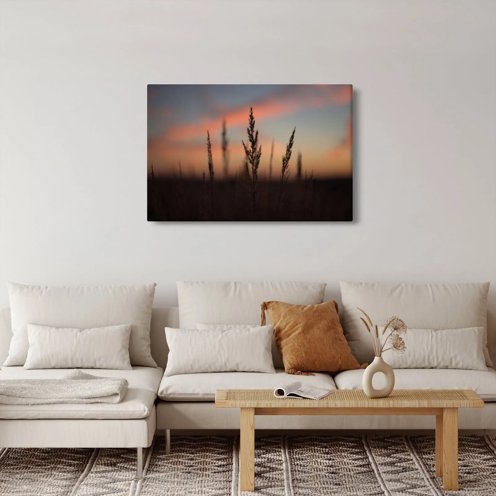 Kép - A növény sziluettje (90x60 cm)