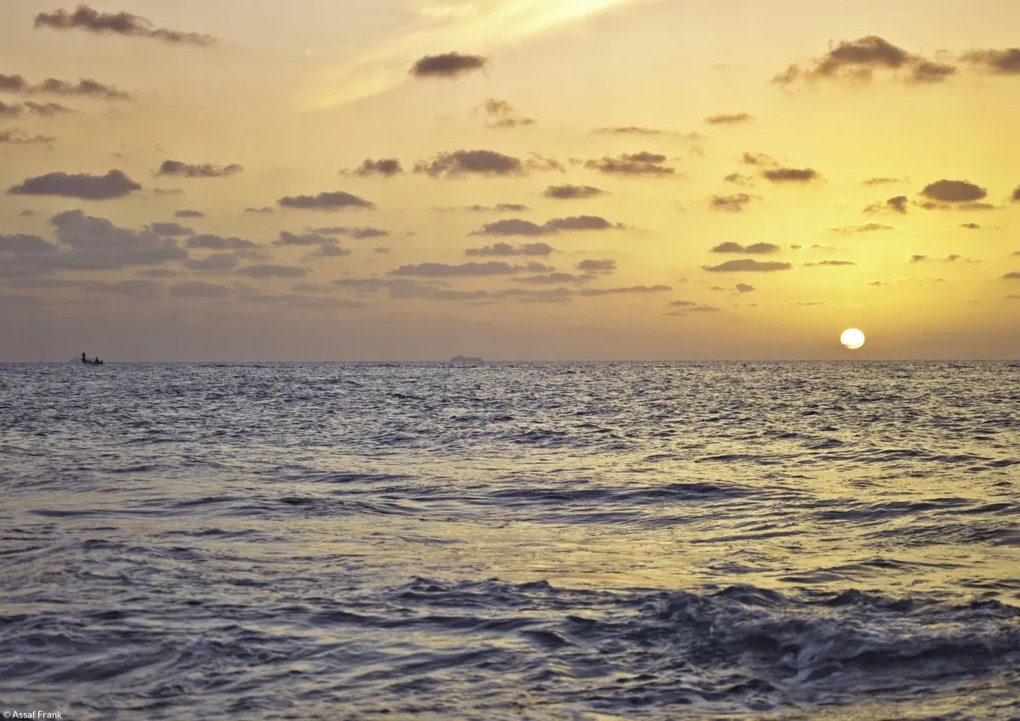 Poszter 29,7x21cm Naplemente a tengeren 3, Assaf Frank