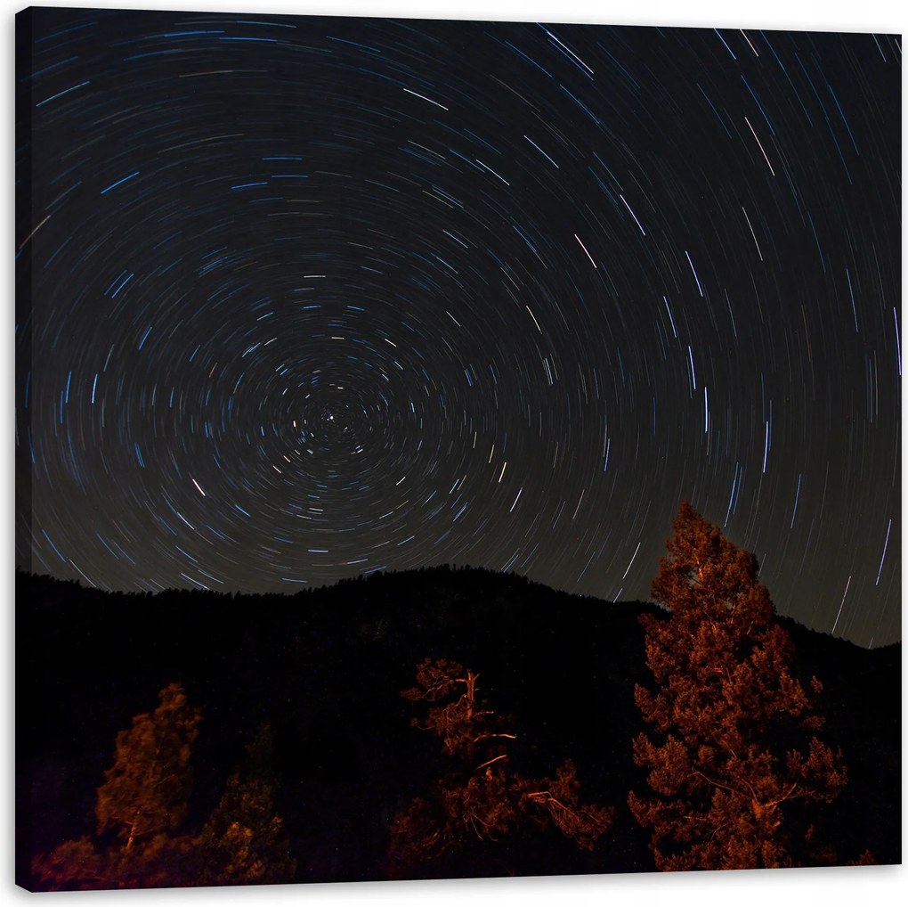 Vászonkép Természet Erdő Éjszaka Hegyek Absztrakt Fák 80x80