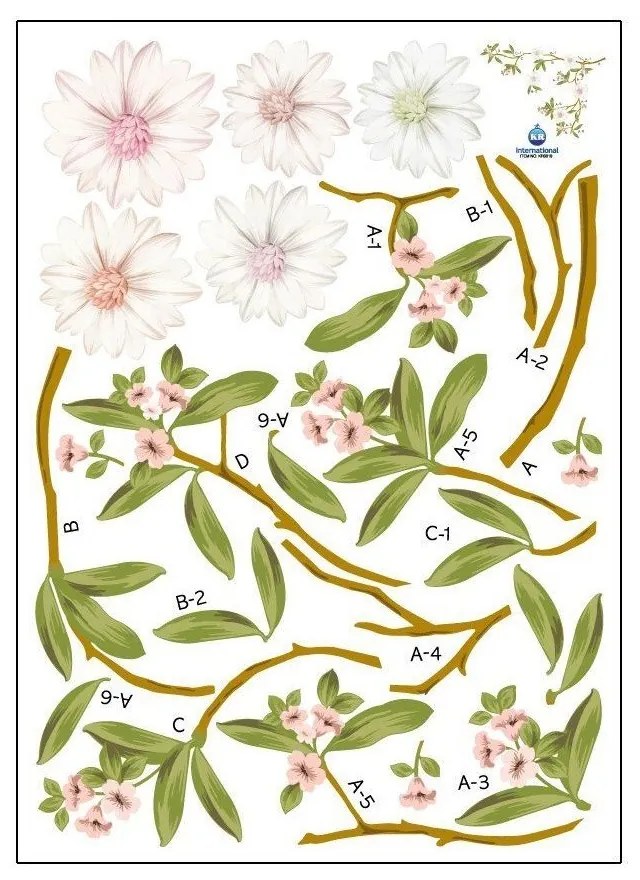 Flowering Magnolia falmatrica szett - Ambiance