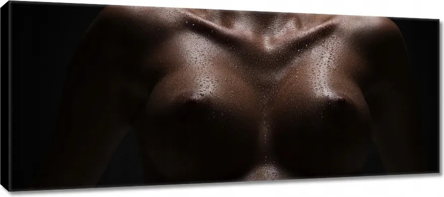 Vászonkép 100x40 Feszes mellek Akt