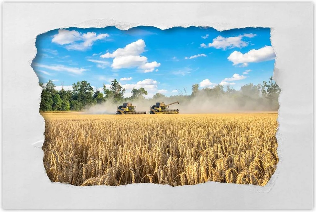 Poszterek 60x40 Két fűnyíró kombájn