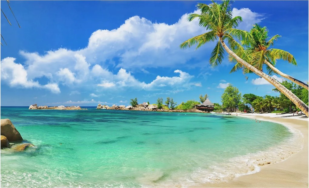 Fotótapéta Flizelina Nappali és Hálószoba Trópusi paradicsom 416x254 Ragasztó