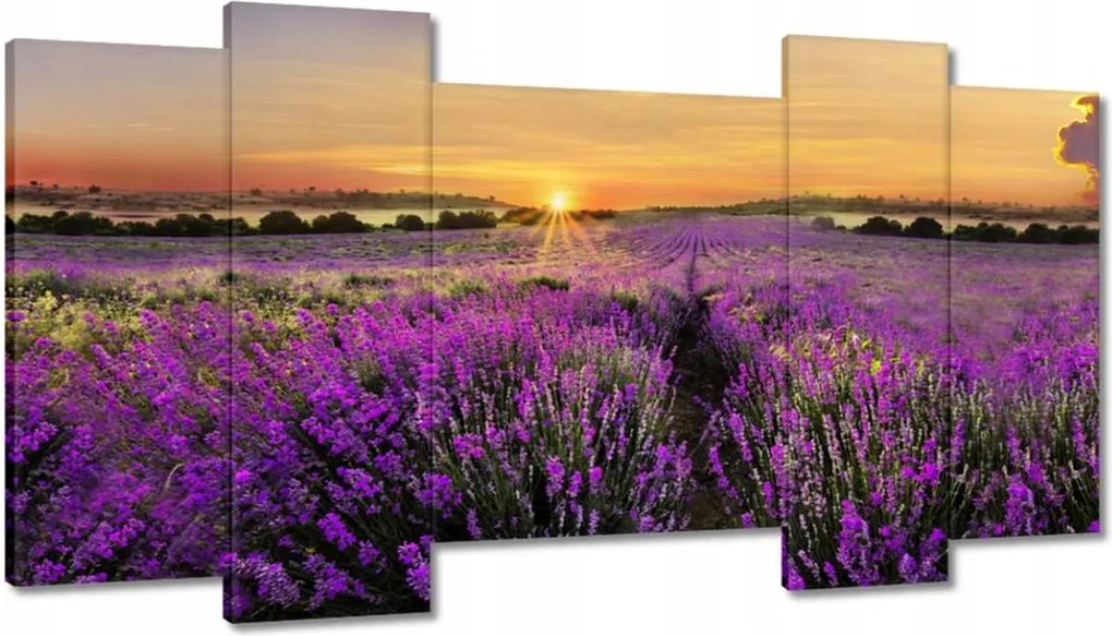 Vászonkép 120x65 Levendula Naplemente
