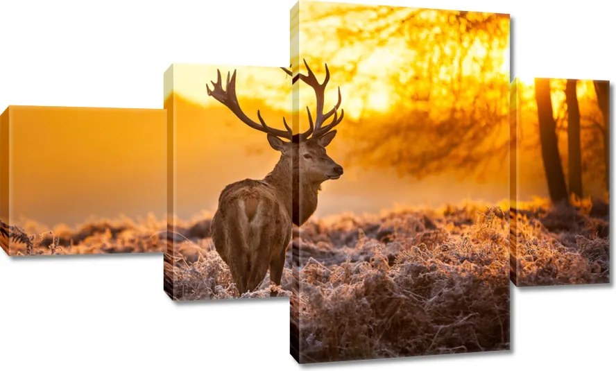 Vászonkép 130x80 Szarvas naplementekor
