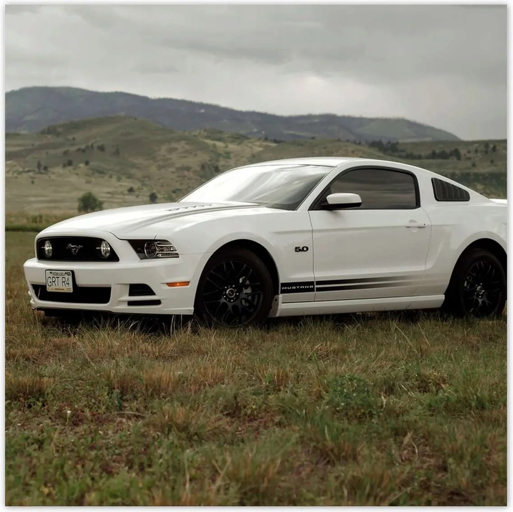 Poszterek 100x100 Fehér Ford Mustang