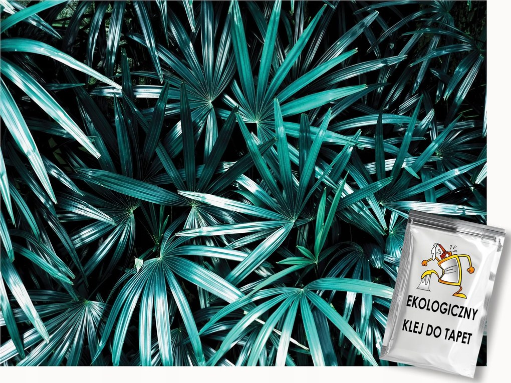 Fotótapéta Flizelina Természet Levelek Egzotikus Sötét zöld 300x210 ragasztó