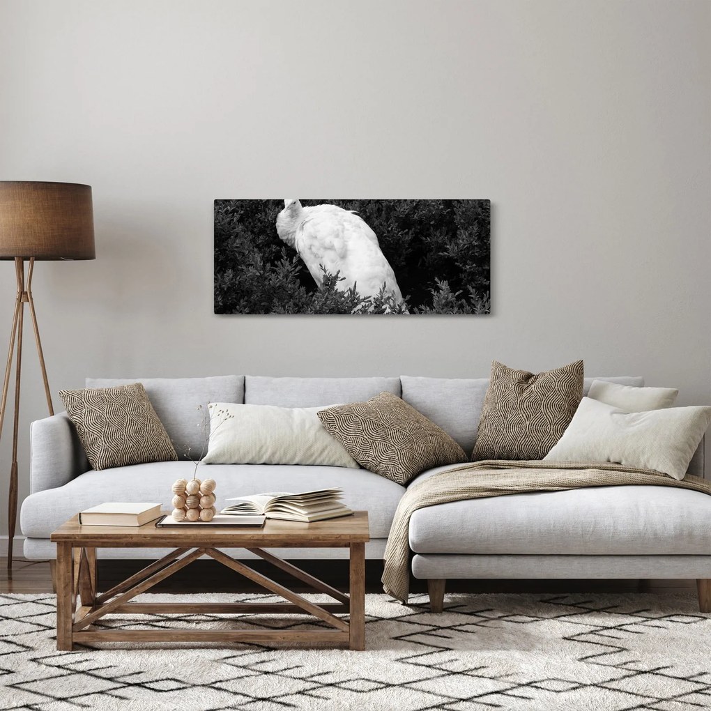 Kép - Páva, fekete-fehér (120x50 cm)