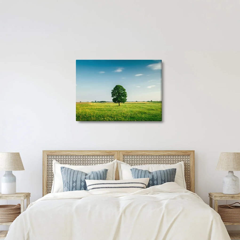Egy fa képe egy rét közepén (70x50 cm)