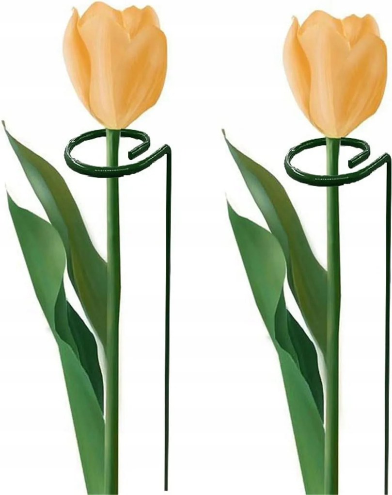 5x Kerti Növénytámasz Növénytartó Cölöpök 60 CM