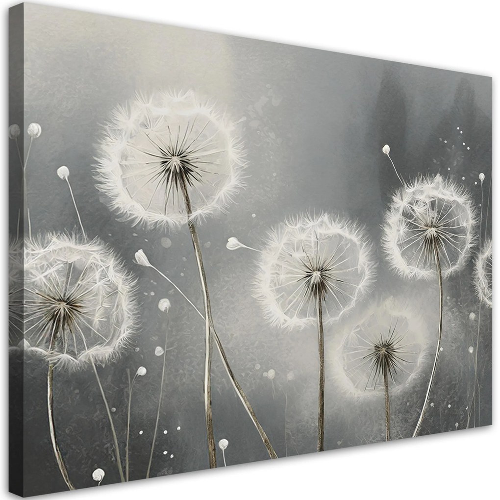 Gario Vászonkép Pitypang a szürke árnyalataiban Méret: 100 x 70 cm