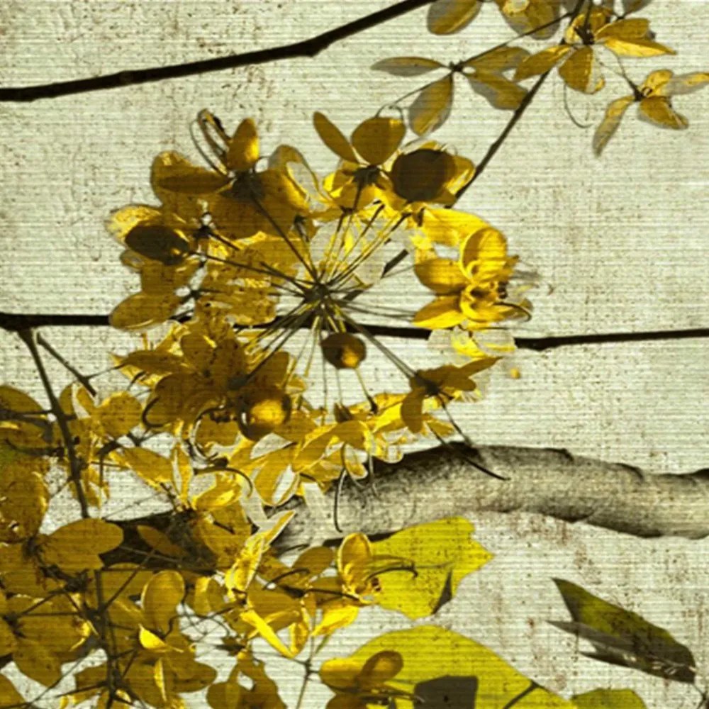 Gario Paraván Virágzó ág Méret: 180 x 170 cm, Kivitelezés: Klasszikus paraván