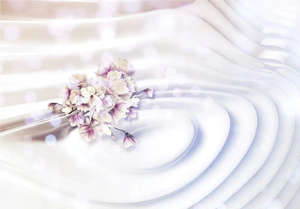 Fotótapéta Rózsaszín és fehér virágok finom elegancia 368x254 +ragasztó