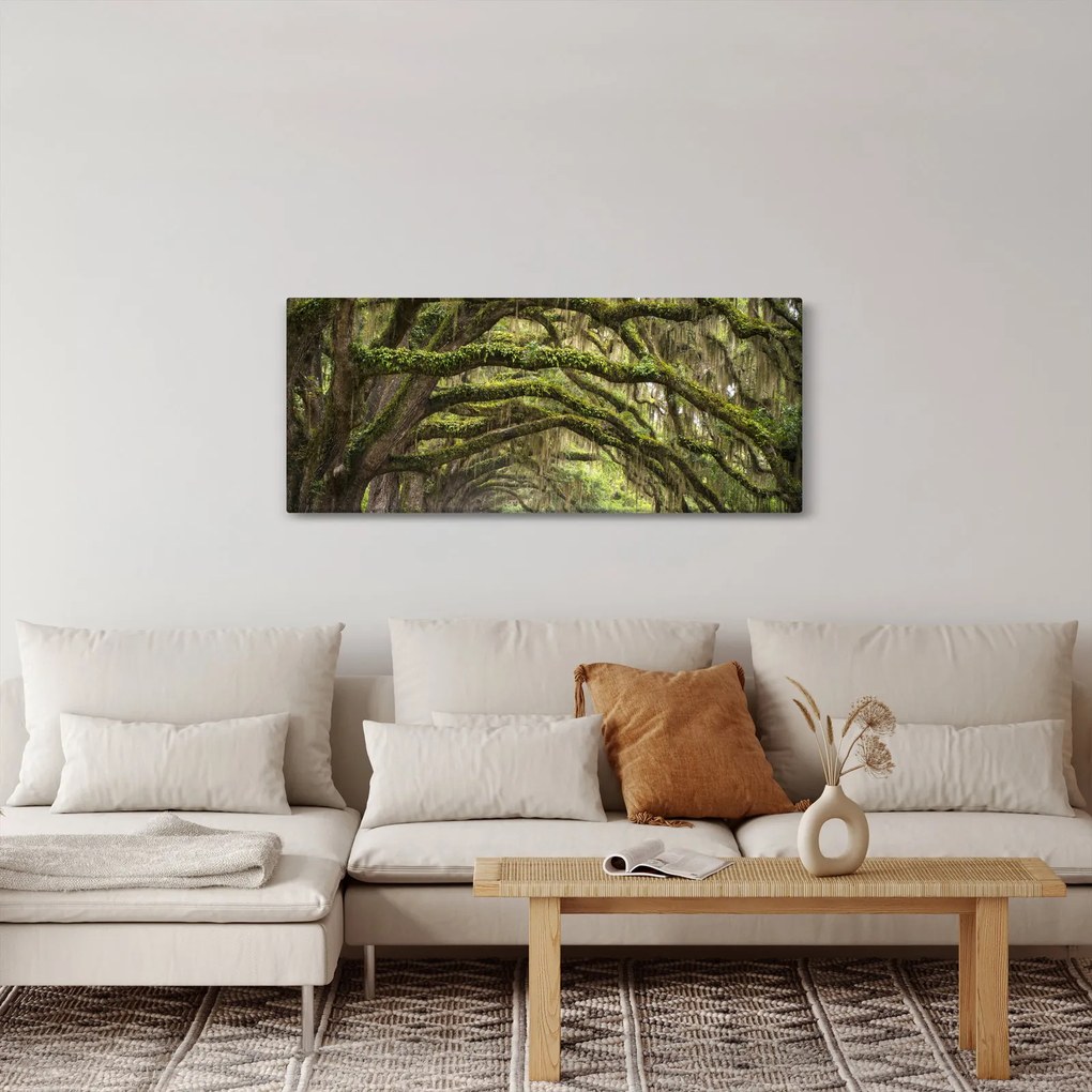 Kép - Oaks Avenue, Charleston, Dél-Karolina, Egyesült Államok (120x50 cm)