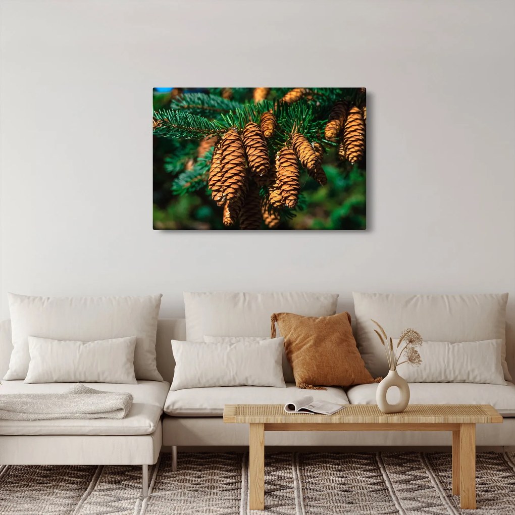 Fenyőtobozok képe (90x60 cm)