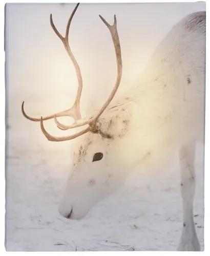 Animal and snow White Reindeer LED vászonkép, 20 x 25 cm