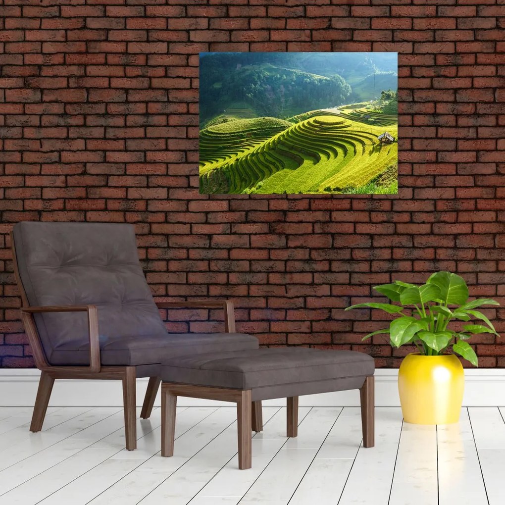 Kép - Rice Terraces koncert (70x50 cm)