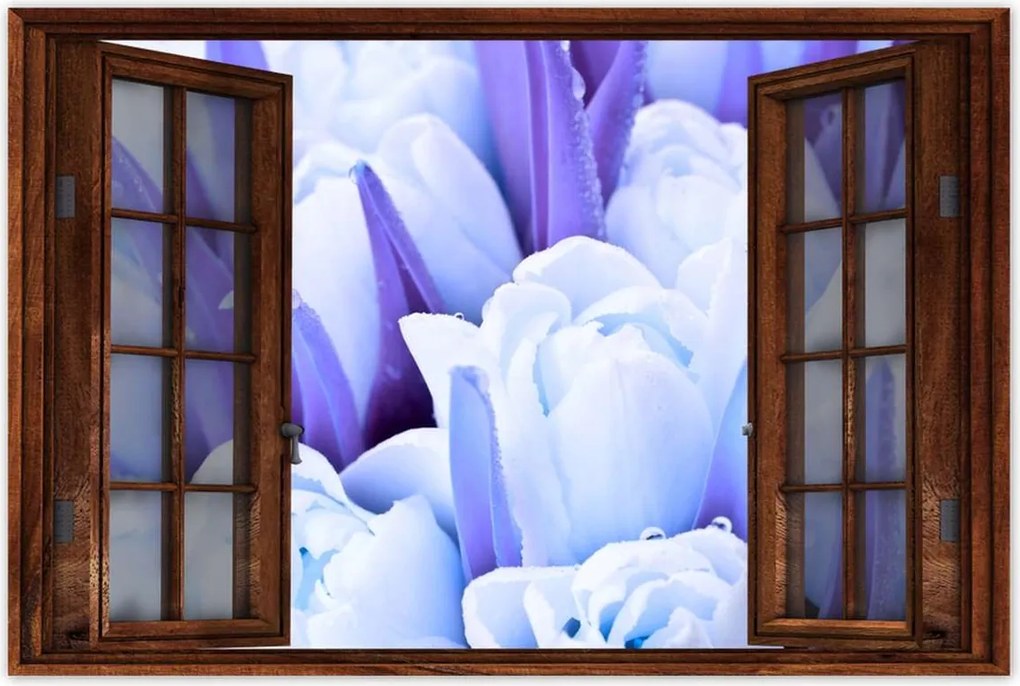 Poszterek 120x80 Kék tulipánok