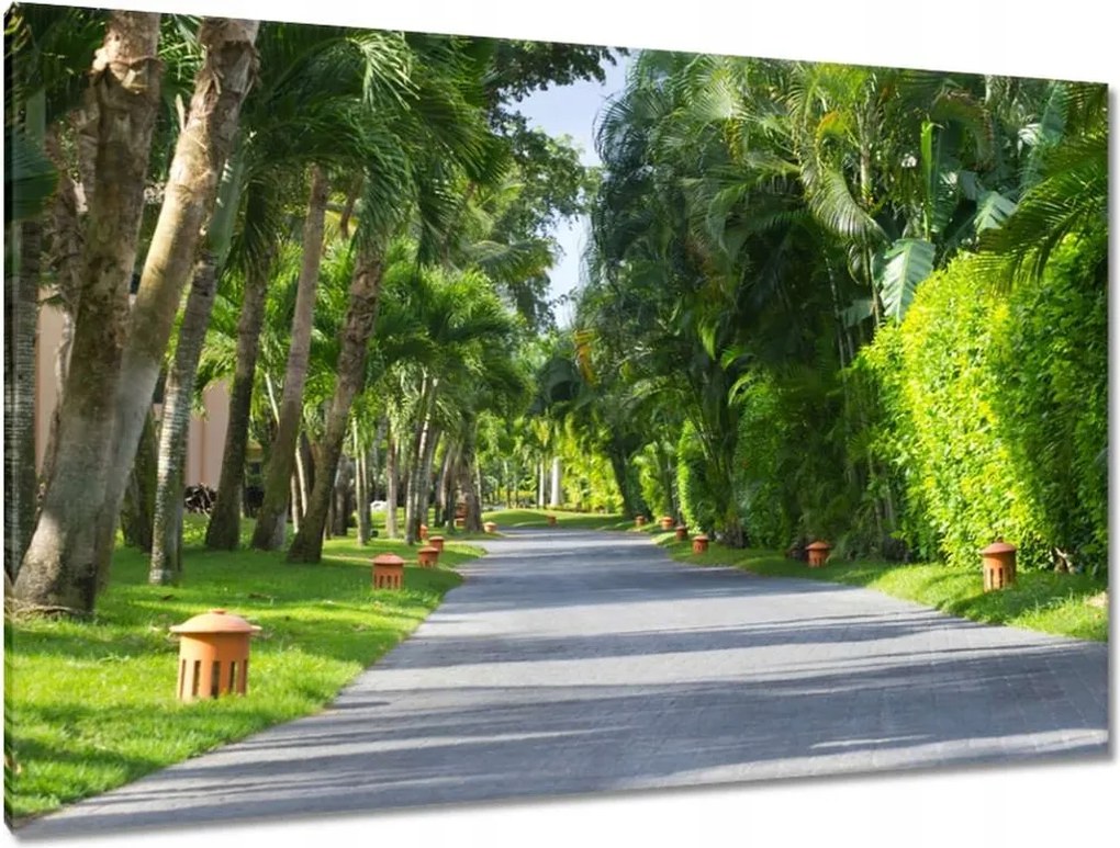 Festmények 120x80 Park Falevelek