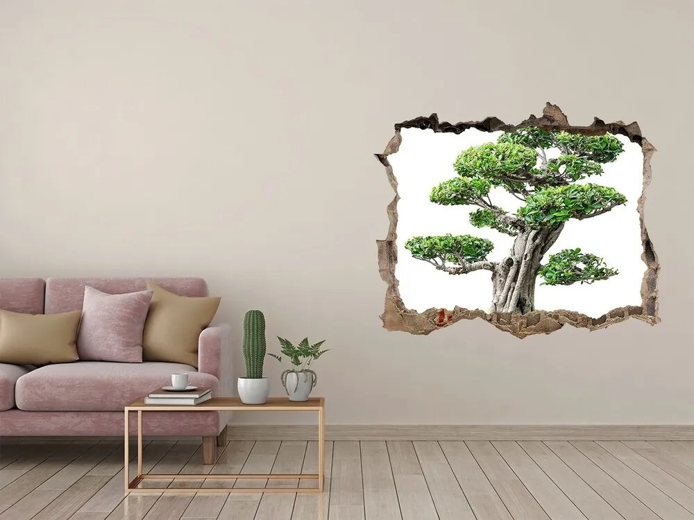 3d lyuk fal dekoráció Bonsai fa nd-k-88907159