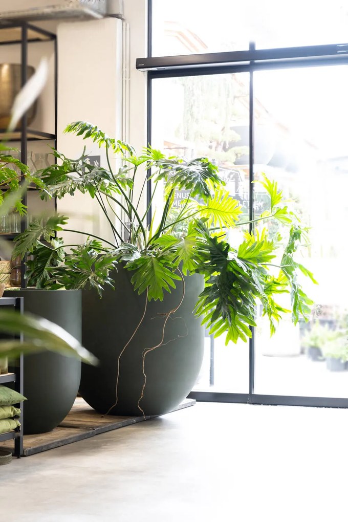 Pottery Pots Jumbo Lex virágcserép, fenyőzöld színű, több méretben - PotteryPots méret: S - ø 80 cm | m. 88 cm