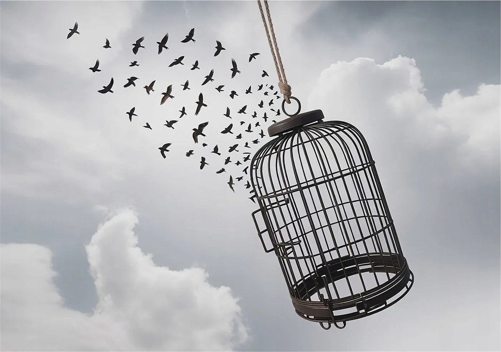 Fotótapéta Flizelin Dekoratív tapéta Repülő madarak 312x219 Ragasztó