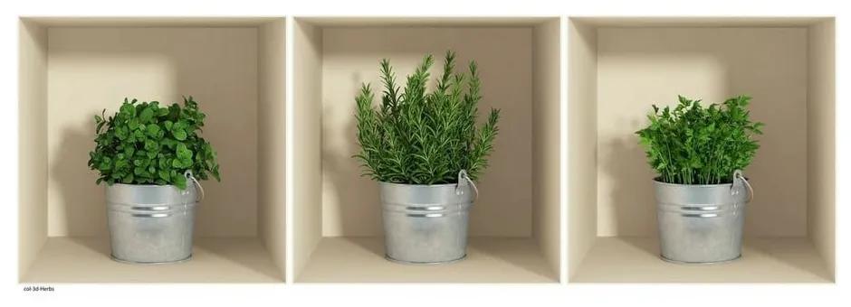 Herbs in Pot 3 db-os 3D hatású falmatrica szett - Ambiance