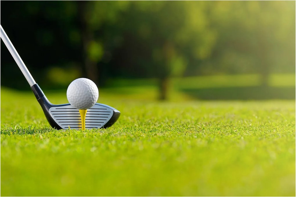 Kép - Golf (90x60 cm)