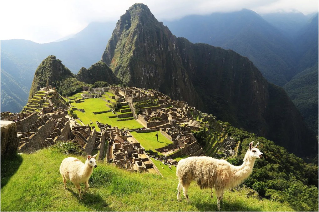 Kép - Machu Picchu (90x60 cm)