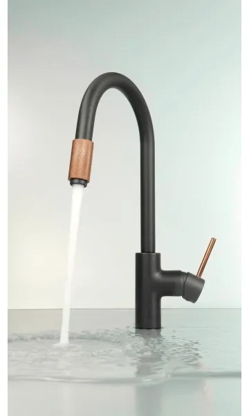 Deante BCA_B64M - Mosogató csaptelep ASTER fekete/sárgaréz