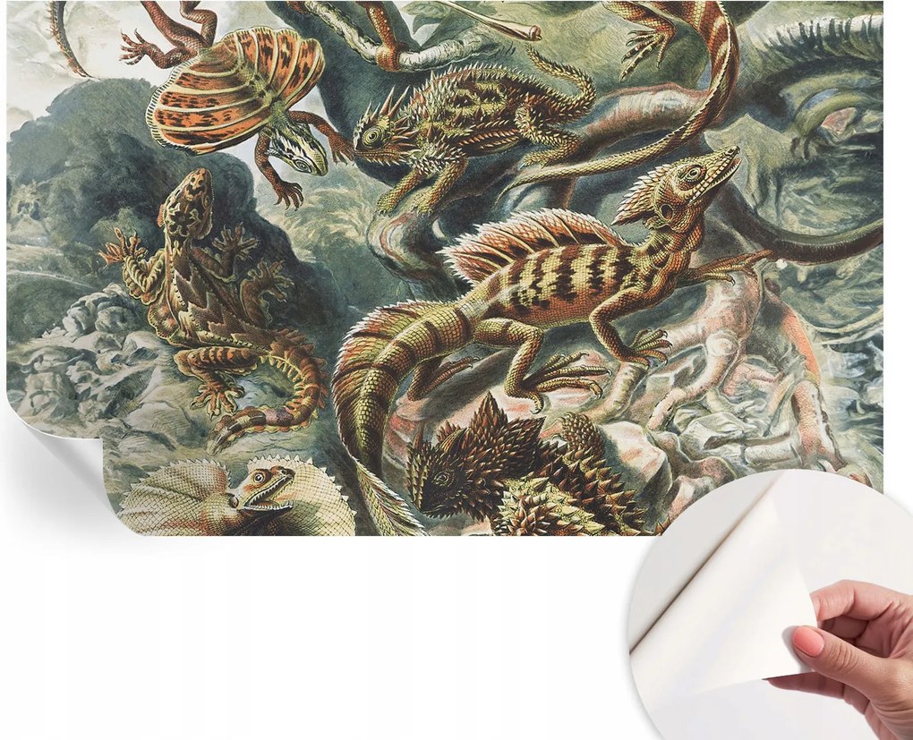 Öntapadós fali fotótapéta Hálószobába Egzotikus hüllők 416x254 cm