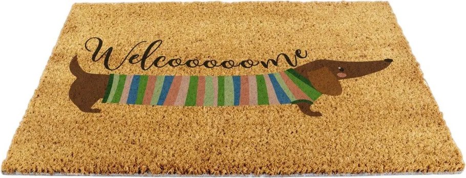 Kókuszrost lábtörlő 40x60 cm Welcome Sausage Dog – Artsy Doormats