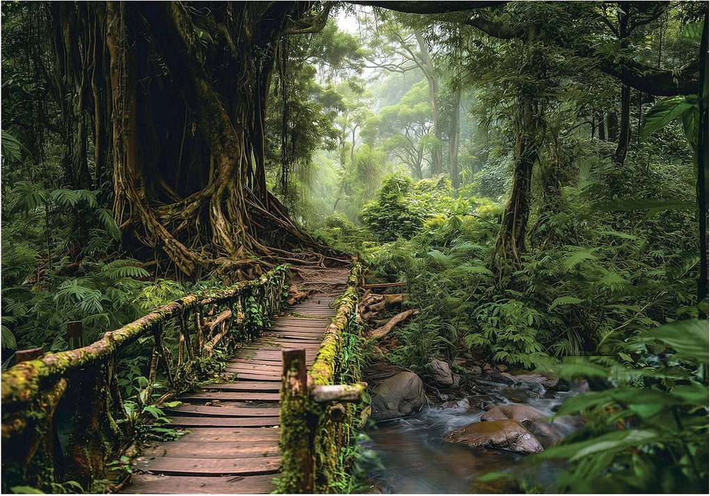 Fotótapéta trópusi erdő zöld sűrű fák és híd 415 x 290