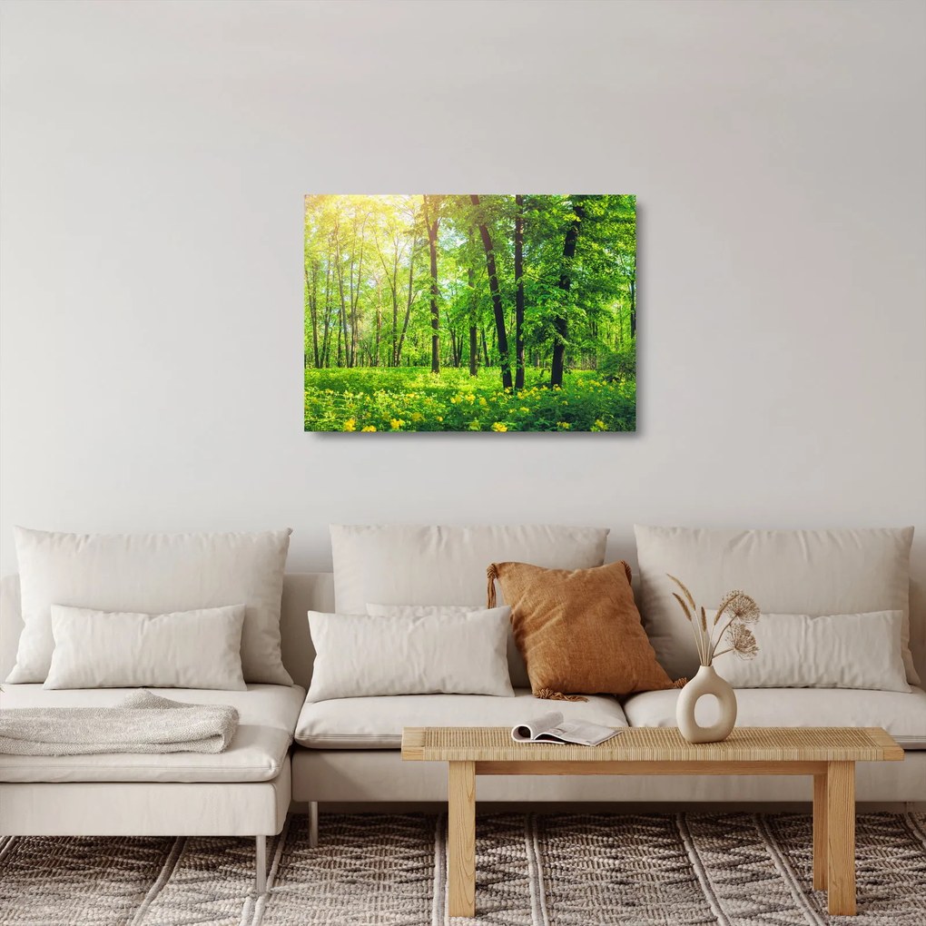 Kép - Tavaszi lomberdő (üvegen) (70x50 cm)