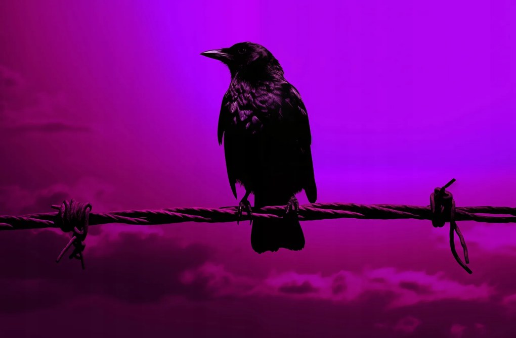 Poszter 91,5x60cm Rejtély sziluett