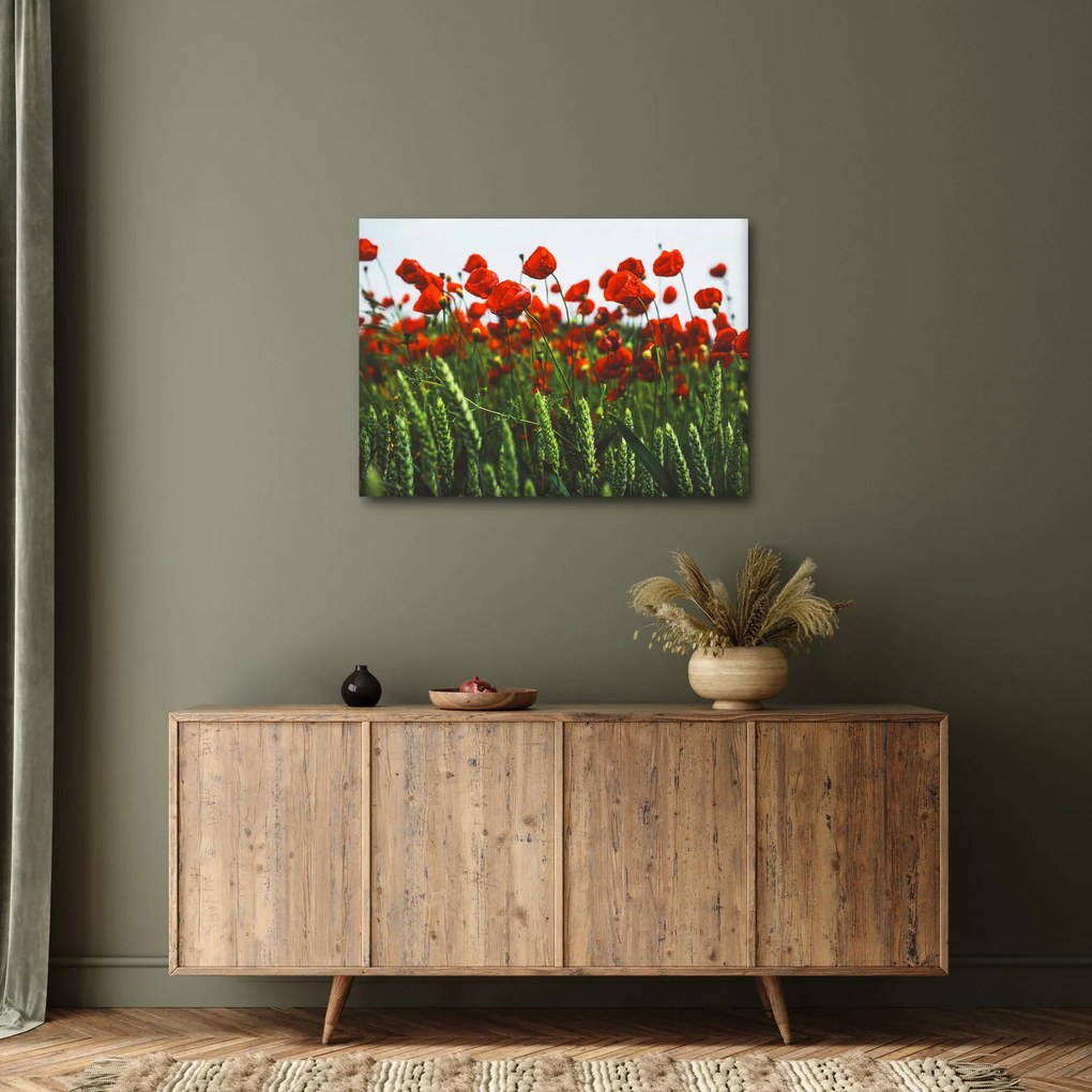 A pipacsok képe a szélben (70x50 cm)