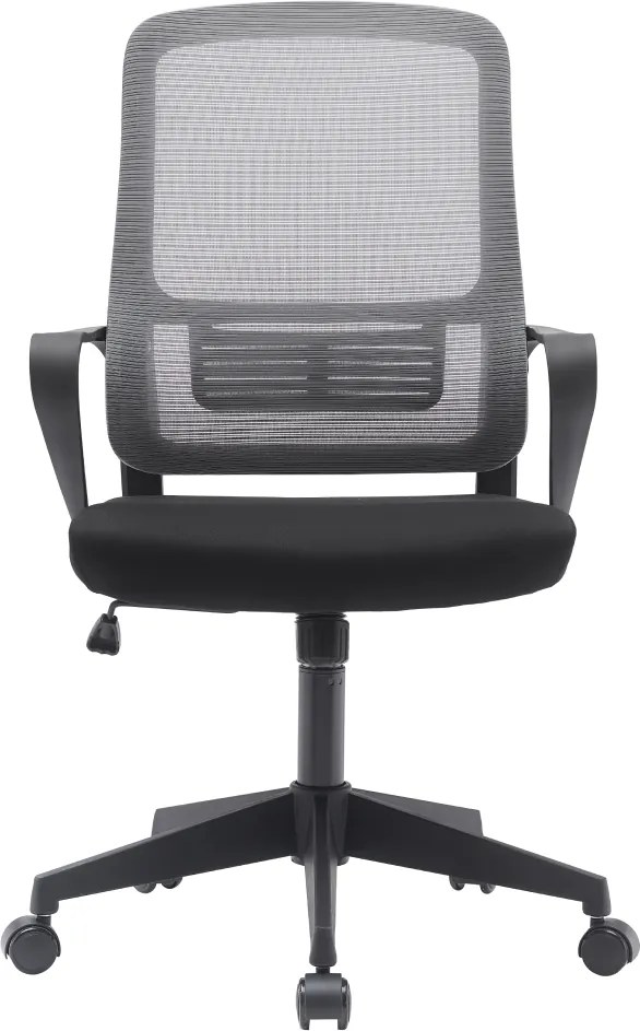 Irodai szék, szürke/fekete, SALOMO TYP 3