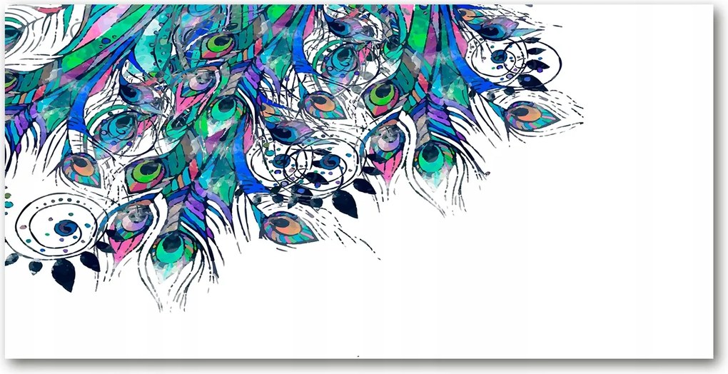 Fotó-kép edzett üveg páva tollak 140x70