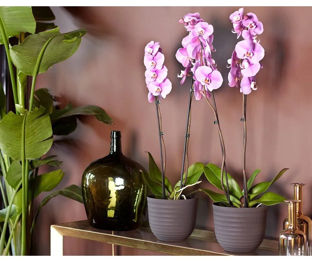 Újrahasznosított műanyag virágcserép ø 20 cm Havana – Artevasi